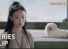運命の桃花 20話の動画