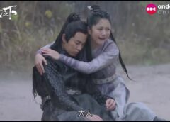 花様衛士 20話の動画