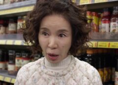 たった一人の私の味方 20話の動画
