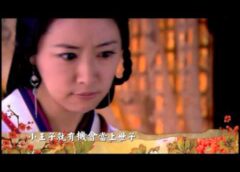 美人心計 20話の動画