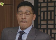 レディの品格 21話の動画