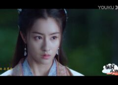 双花伝 22話の動画