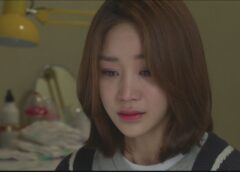 ハッピーレストラン 22話の動画