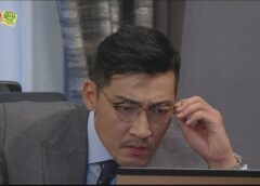 レディの品格 22話の動画
