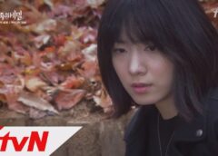 家族の秘密 22話の動画