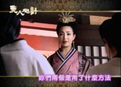 美人心計 22話の動画