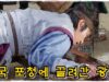 馬医 23話の動画