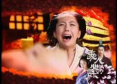 美人心計 23話の動画
