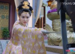 双花伝 24話の動画