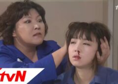 福寿草 24話の動画