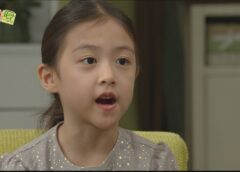 レディの品格 24話の動画