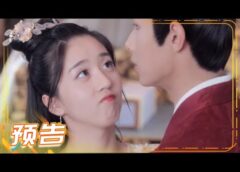 皇太子妃はシンデレラ 24話の動画