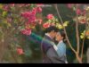 赤い袖先 24話の動画