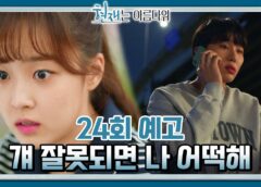 ヒョンジェは美しい 24話の動画