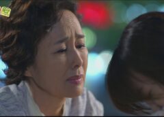 レディの品格 25話の動画