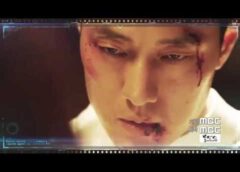 私の恋したテリウス 25話の動画