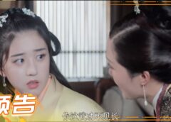 皇太子妃はシンデレラ 26話の動画