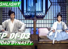 剣王朝 27話の動画