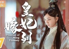 大明皇妃 27話の動画