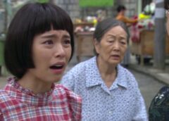 恋するダルスン 27話の動画