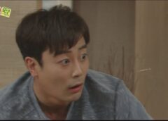 レディの品格 28話の動画
