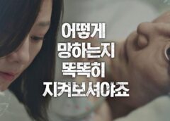 夫婦の世界 28話の動画