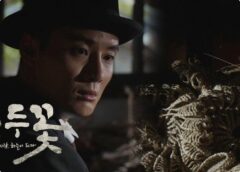 緑豆の花 28話の動画