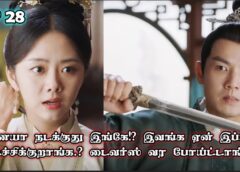 恋心は玉の如き 28話の動画