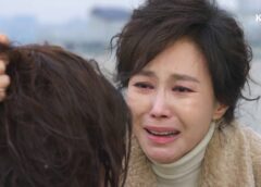 優雅な母娘 29話の動画