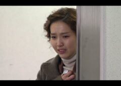 輝くロマンス 29話の動画