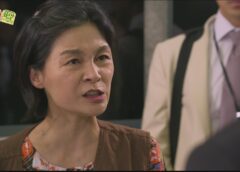 レディの品格 29話の動画