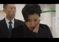 復讐せよ 29話の動画