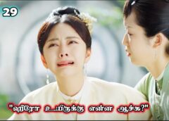 恋心は玉の如き 29話の動画