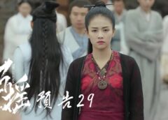 招揺 29話の動画