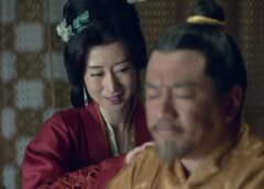 琅琊榜（ろうやぼう） 29話の動画