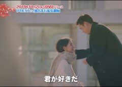 偽りのフィアンセ 30話 動画