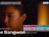 太宗（テジョン）イ･バンウォン 30話の動画