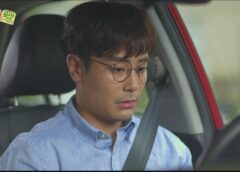 レディの品格 31話の動画