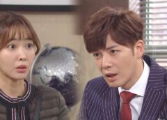 愛はぽろぽろ 31話の動画
