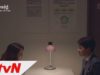 家族の秘密 31話 動画