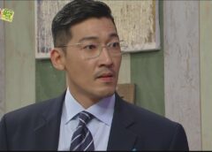 レディの品格 32話の動画