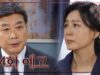 危険な約束 33話の動画