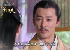 美人心計 33話の動画