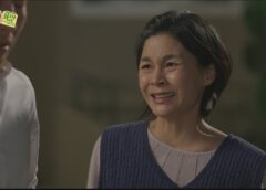 レディの品格 34話の動画