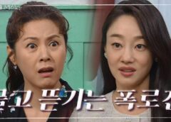 ミス・モンテクリスト 34話の動画