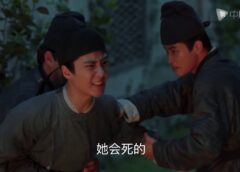 孤城閉 34話の動画
