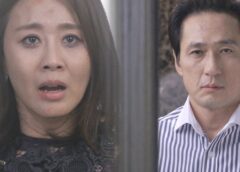 復讐のカルテット 36話 動画
