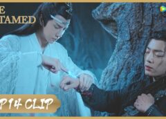 陳情令 37話の動画