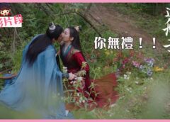 夢織姫 39話の動画