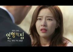 人形の家 39話の動画